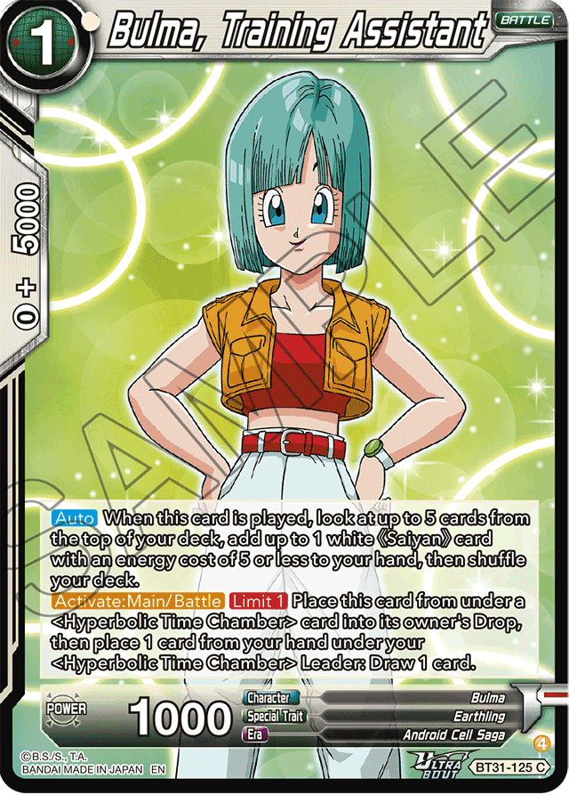 Bulma, Training Assistant