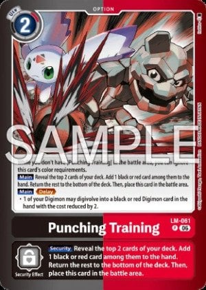 Punching Training