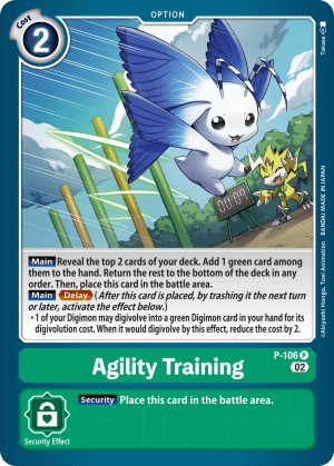 Agility Training