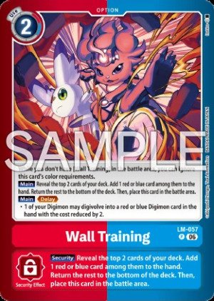 Wall Training