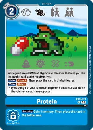 Protein