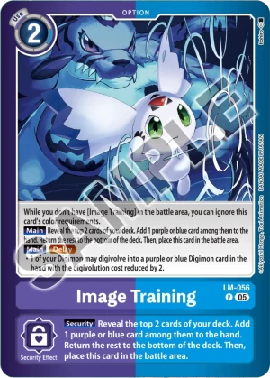 Image Training