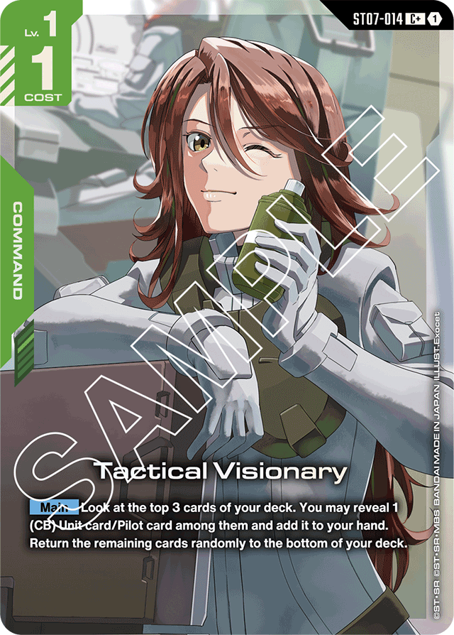Tactical Visionary