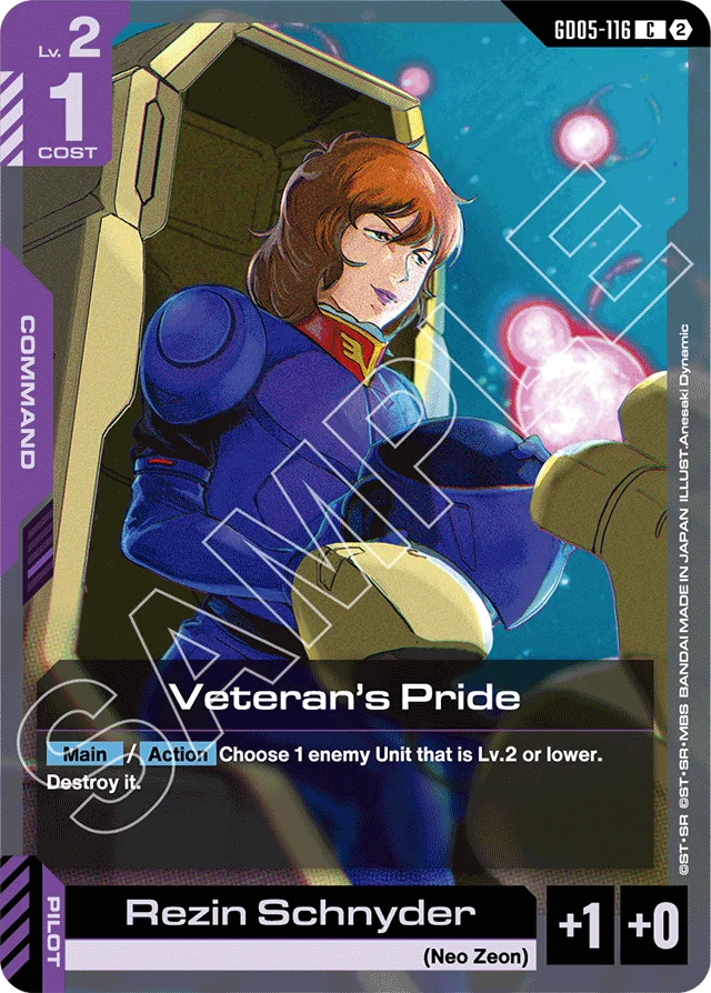 Veteran's Pride