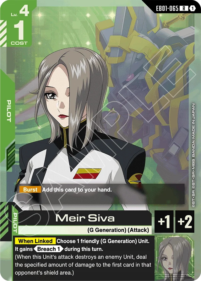 Meir Siva