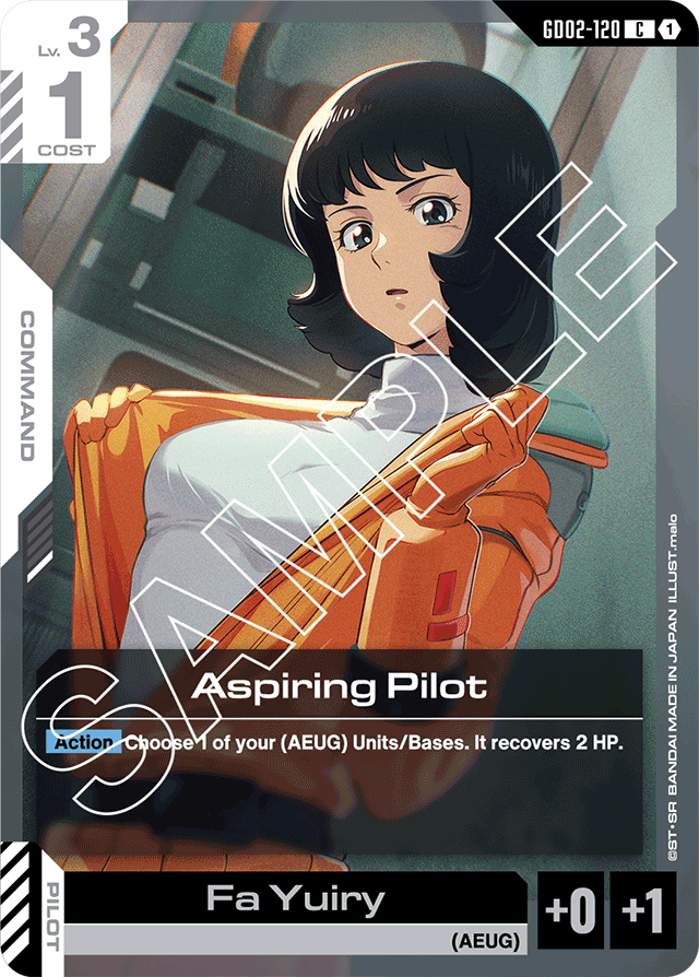 Aspiring Pilot