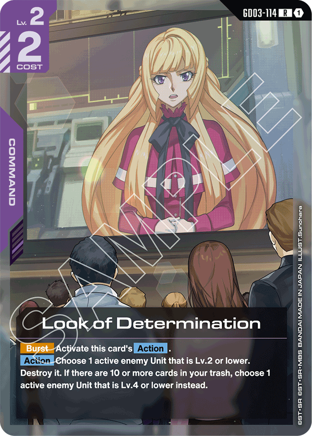 Look of Determination