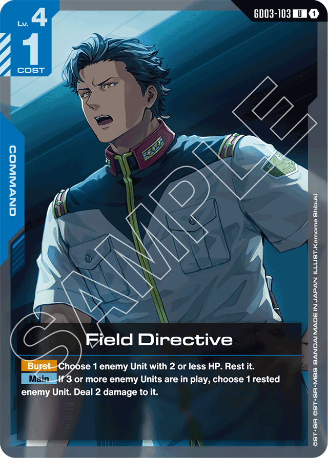 Field Directive