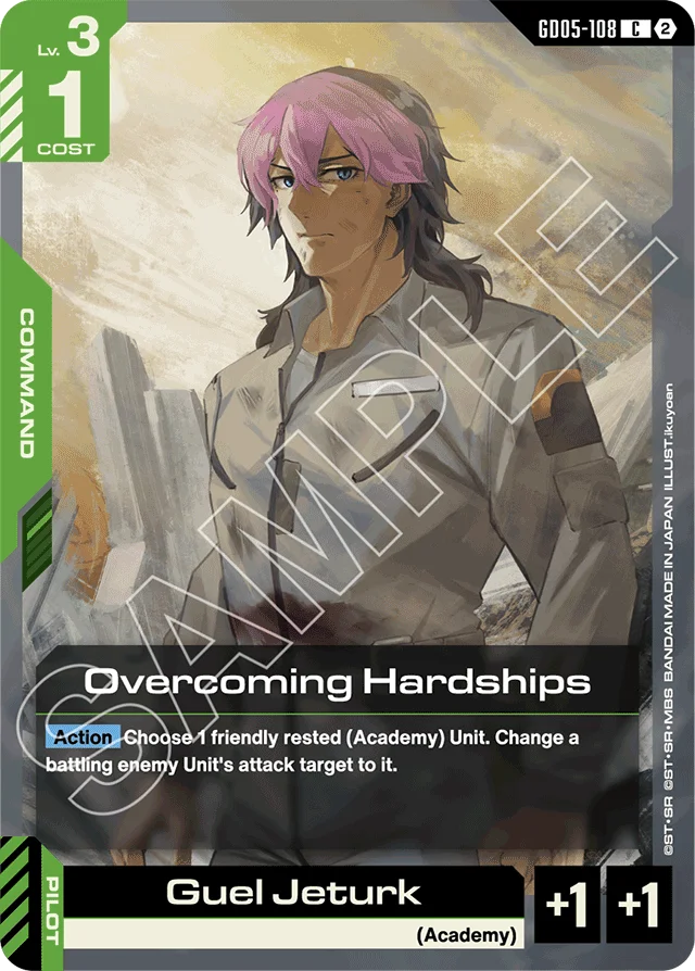 Overcoming Hardships