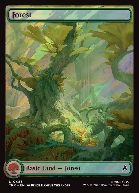 Forest