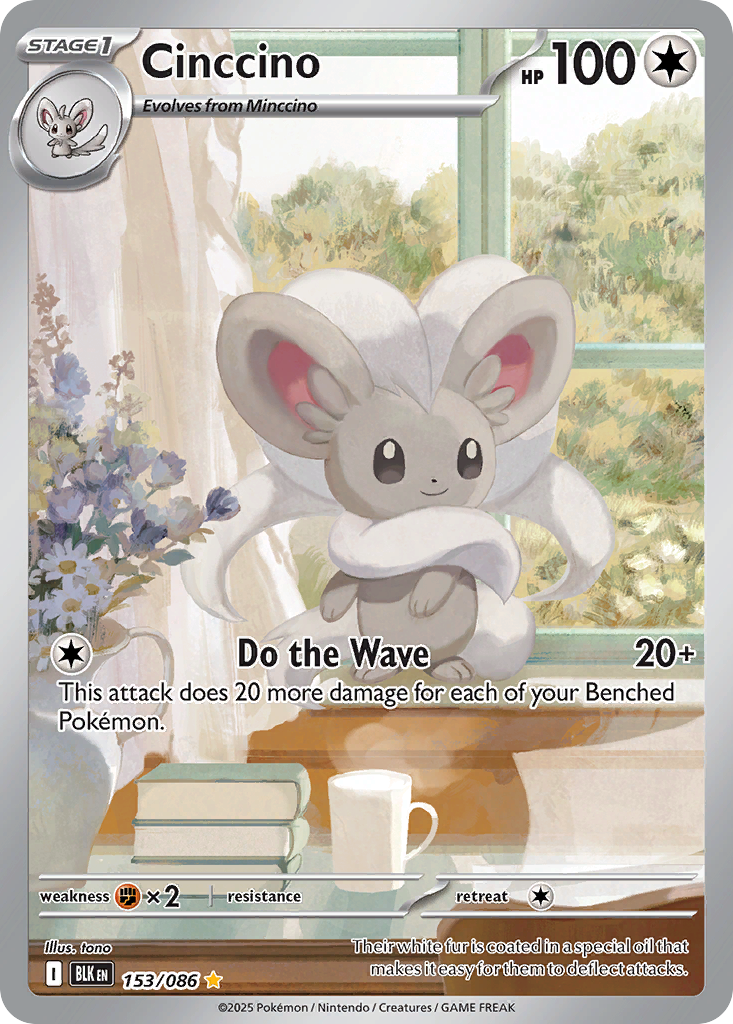 Cinccino