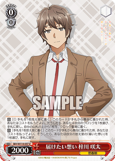 Sentiments to Convey, Sakuta Azusagawa