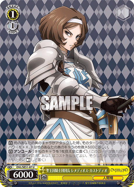 Grandmaster of the Sacred Paladin Order, Remedios Custodio