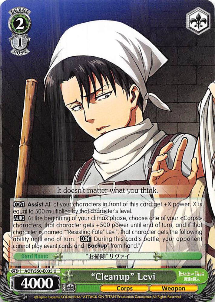 "Cleanup" Levi