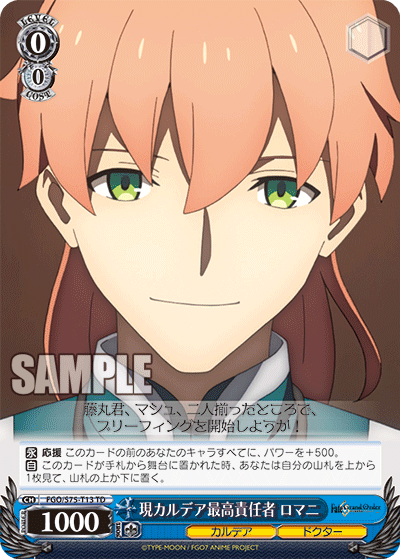 Acting Director of Chaldea, Romani