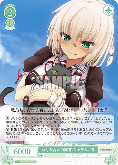 オツキアイノショウガイ シャチ&ノラ