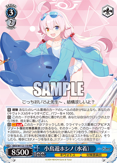Takanashi Hoshino (Swimsuit)