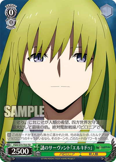 Mysterious Servant "Enkidu"