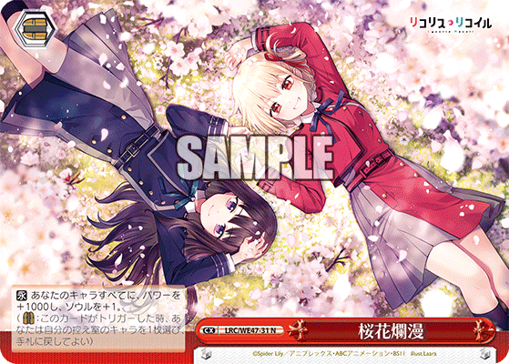 Cherry Blossoms in Full Bloom