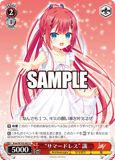"サマードレス" 識