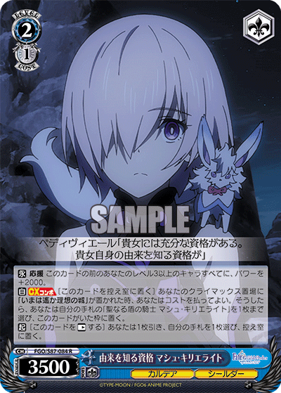 Qualified to Know Her Origins, Mash Kyrielight
