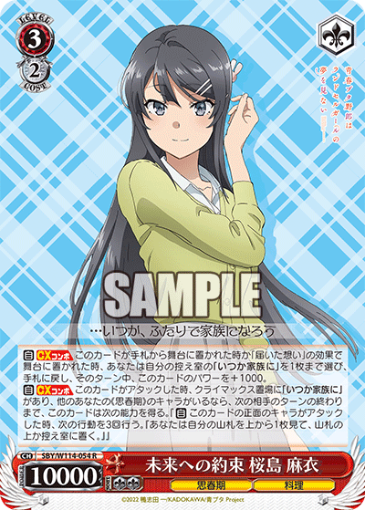 Promise for the Future, Mai Sakurajima