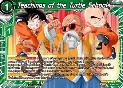 Teachings of the Turtle School