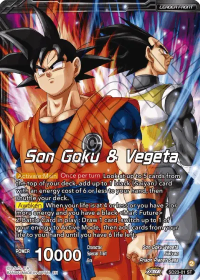 Son Goku & Vegeta