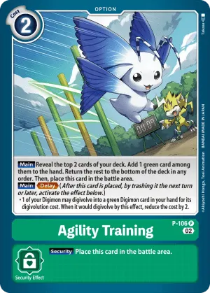 Agility Training
