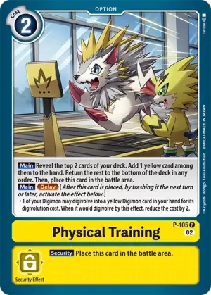 Physical Training