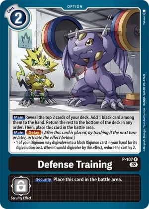 Defense Training