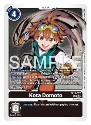 Kota Domoto