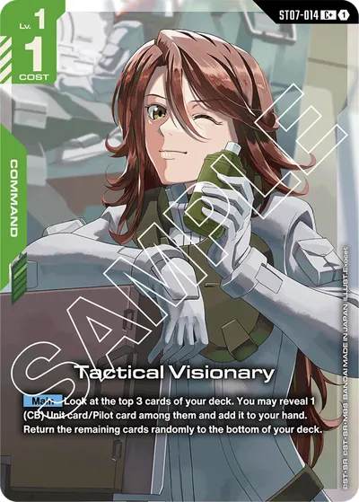 Tactical Visionary