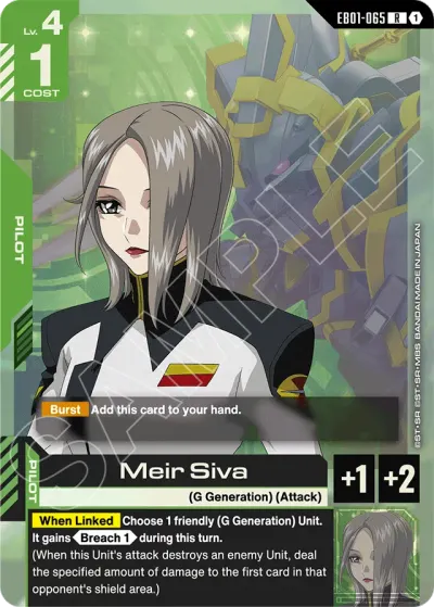 Meir Siva