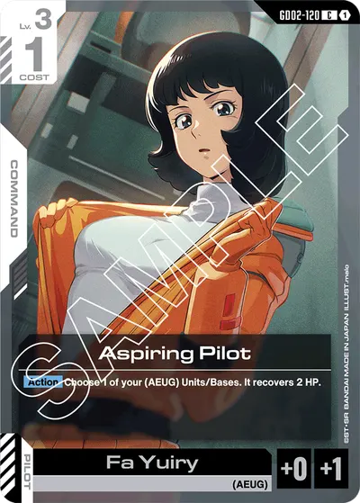 Aspiring Pilot