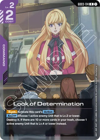 Look of Determination