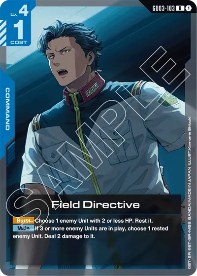 Field Directive
