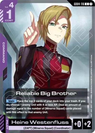 Reliable Big Brother