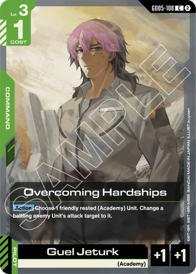 Overcoming Hardships