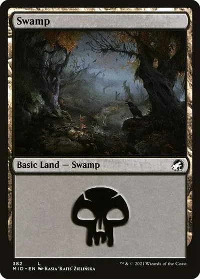 Swamp