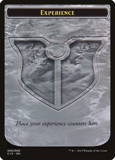 Experience