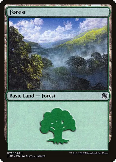Forest