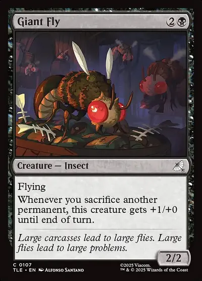 Giant Fly