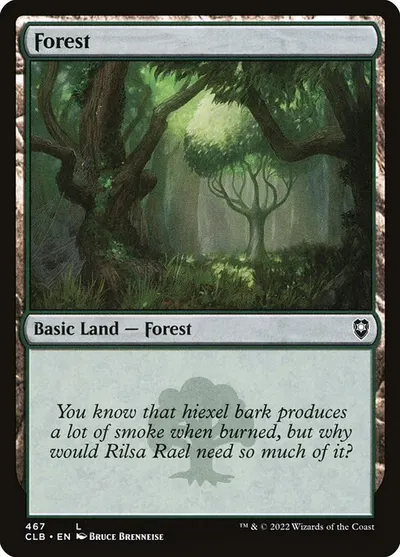 Forest