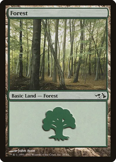 Forest