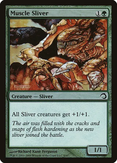 Muscle Sliver