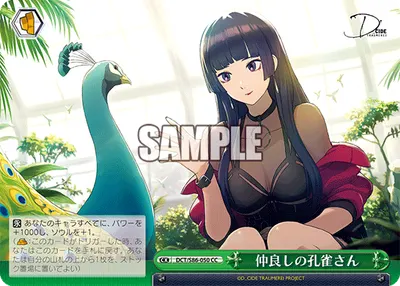 仲良しの孔雀さん