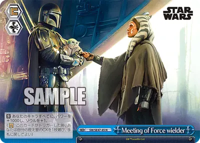 Meeting of Force wielder