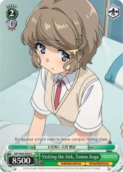 Visiting the Sick, Tomoe Koga