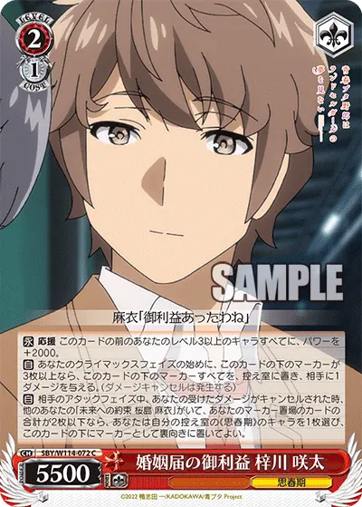 Blessing of the Marriage License, Sakuta Azusagawa